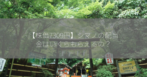 【株価7309円】シマノの配当金はいくらもらえるの？